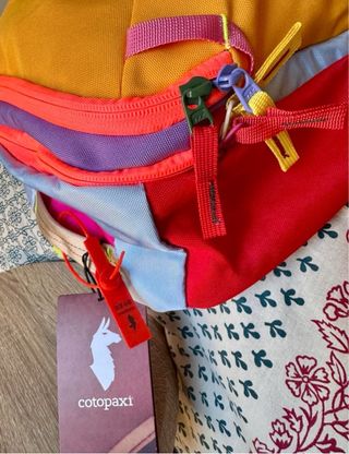 Mochila Cotopaxi Allpa 20L Multicolor