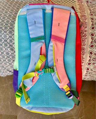 Mochila Cotopaxi Allpa 20L Multicolor