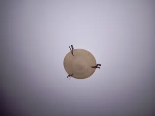 2 Plafoniere da soffitto