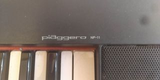 Teclado Yamaha Piaggero NP-11