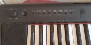 Teclado Yamaha Piaggero NP-11