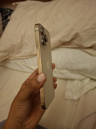 iPhone 14 Pro Max Dorado/Plateado