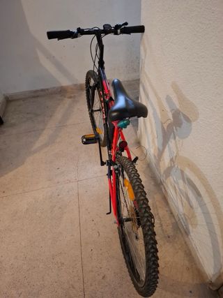 Bicicleta de montaña
