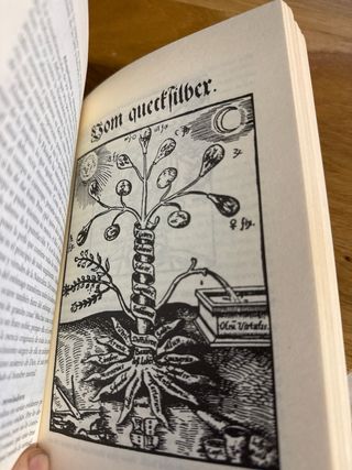 Paracelso: Textos esenciales. Siruela