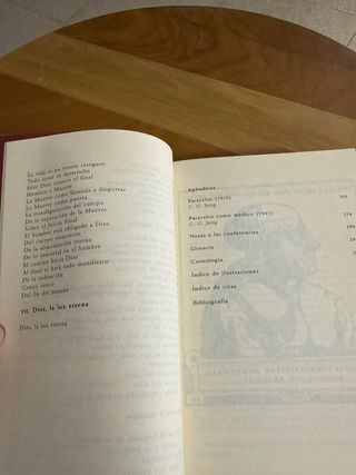 Paracelso: Textos esenciales. Siruela