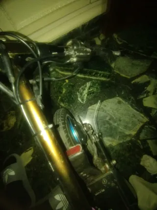 Motor Minimotors dualtron victor luxury