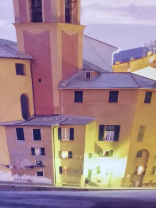 Stampa Camogli