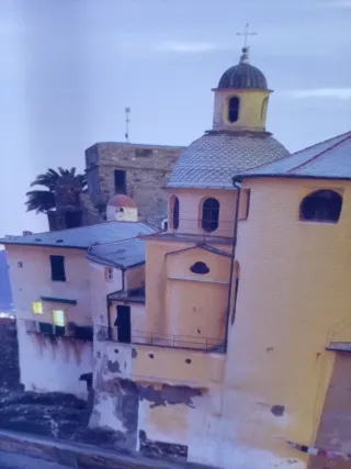 Stampa Camogli