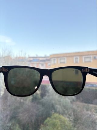 Gafas de Sol Ray-Ban Wayfarer Black/G15 Green 54