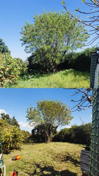 Jardinero general