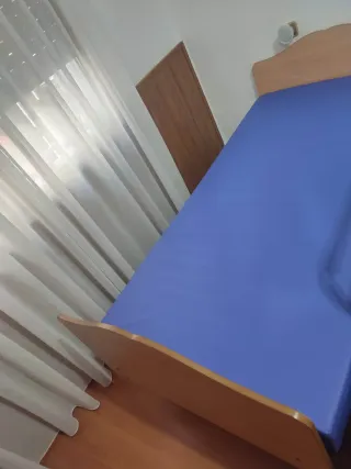 Cama articulada eléctrica