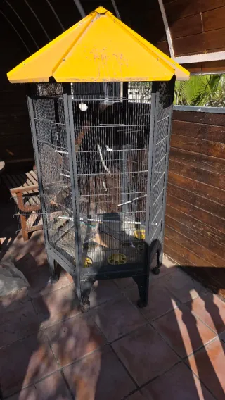 Jaula para pájaros grande con techo amarillo