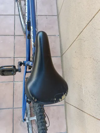 Bicicleta Decathlon Rockrider 24 Azul