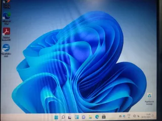 Windows 11 intel dual core E5800 3.20 Ghz