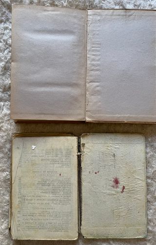 Lote 2 Libros Antiguos: Geometría y Aritmética