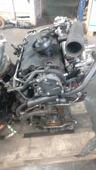 DESPIECE MOTOR VOLKSWAGEN GOLF V BERLINA (1K1) Sp