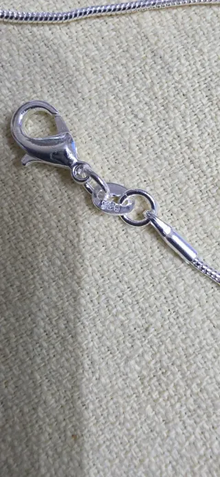 Collar de plata con cierre