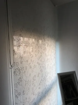 Estor enrollable 120x250