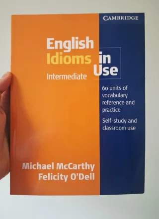 English Idioms in Use