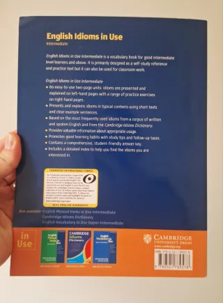 English Idioms in Use