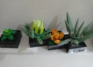 Lego Piante Montate