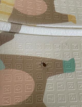 Parque Infantil Jupplies + Alfombra y Agarraderas