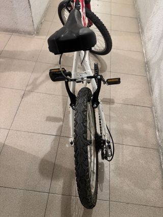 Bicicleta infantil 20 pulgadas