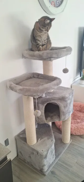 Rascador grande, XXL Poco Uso