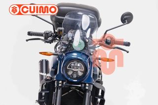 INDIAN FTR 1200