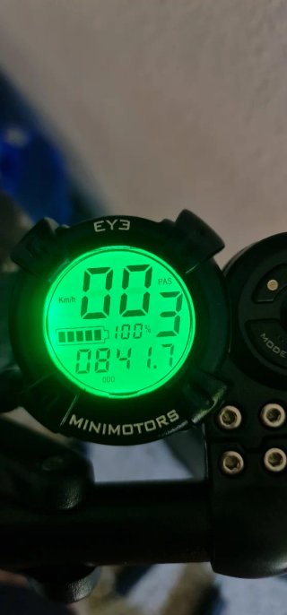 Patín Eléctrico Dualtron Eagle Pro