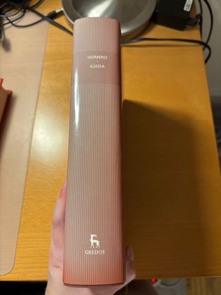 Libros Odisea y Ilíada, Homero