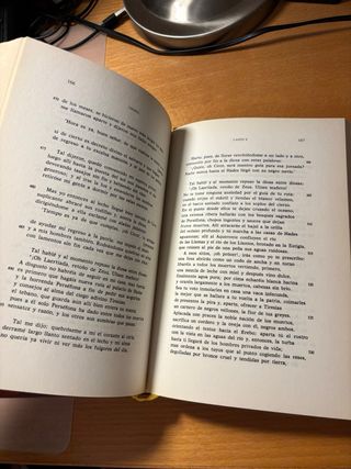 Libros Odisea y Ilíada, Homero