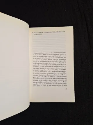 Martin Amis. La flecha del tiempo