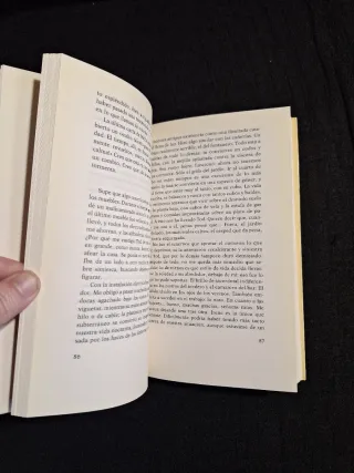 Martin Amis. La flecha del tiempo