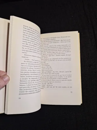 Martin Amis. La flecha del tiempo