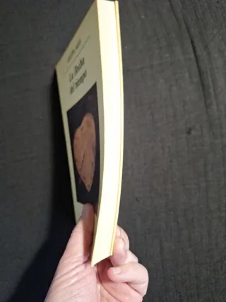 Martin Amis. La flecha del tiempo