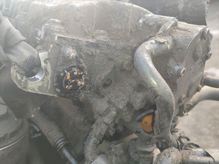 MOTOR COMPLETO SEAT LEON (1P1) Emocion | 03.09 -