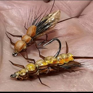 MOSCAS PARA LA PESCA DE BARBOS