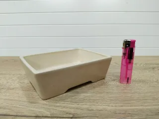 Maceta Bonsai Color Crema