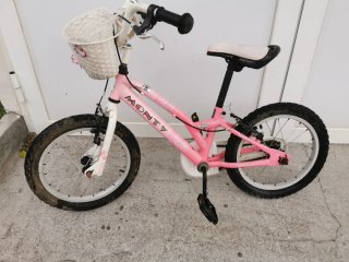 Lote 2 bicicletas
