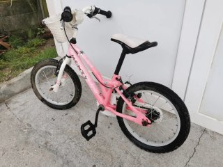 Lote 2 bicicletas