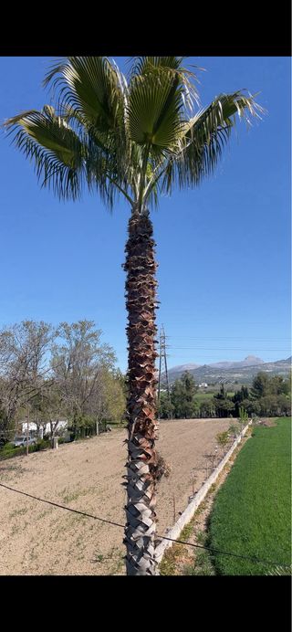 Trabajos de jardinería y piscinas