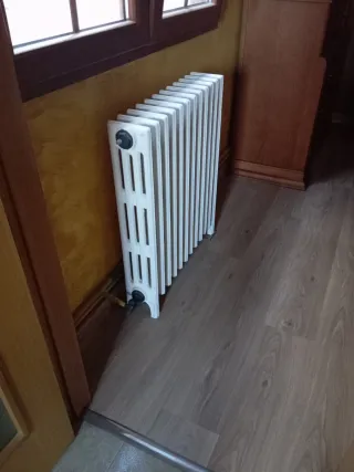 Radiador de hierro fundido blanco