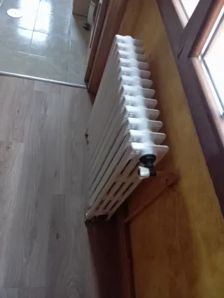 Radiador de hierro fundido blanco