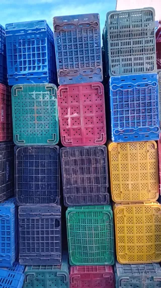 Cajas Plástico Agrícolas