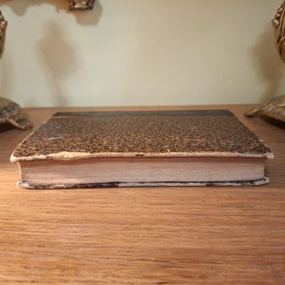 Libro antico 1902 Napoli - Ultimi Giorni di Pompei