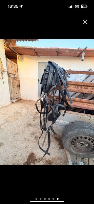 Arreos para caballos y coche