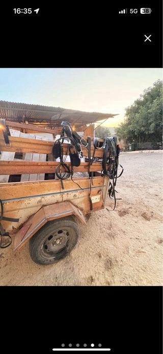 Arreos para caballos y coche