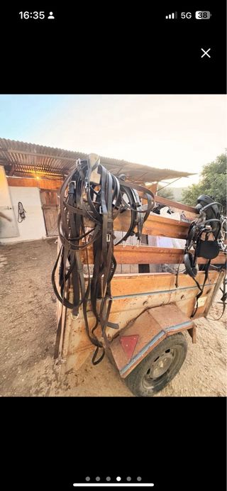 Arreos para caballos y coche