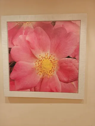 Cuadro Gran Flor Rosa y Amarilla